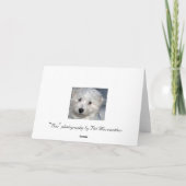 Dog Sympathie Kaart (Achterkant)