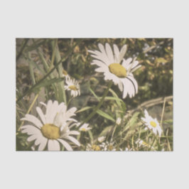 Dog sympathie met gele dagen tissuepapier