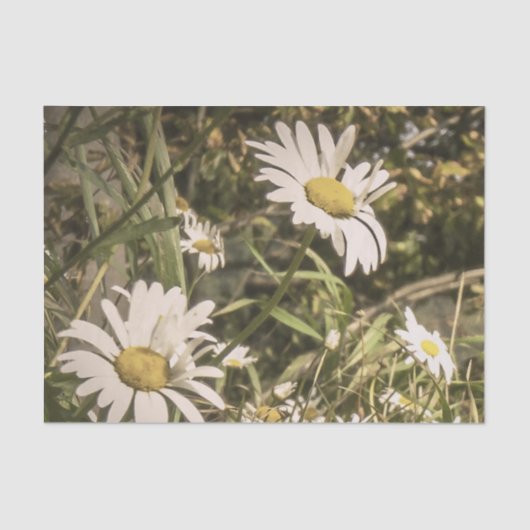 Dog sympathie met gele dagen tissuepapier (Voorkant)