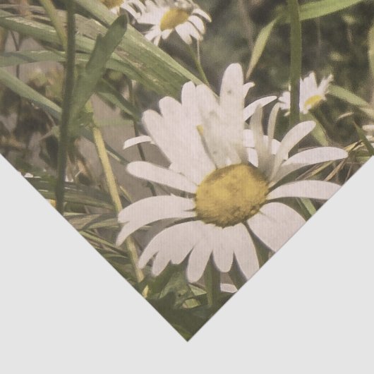 Dog sympathie met gele dagen tissuepapier (Detail)