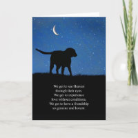Dog Sympathie Spiritueel Gevoelige woorden