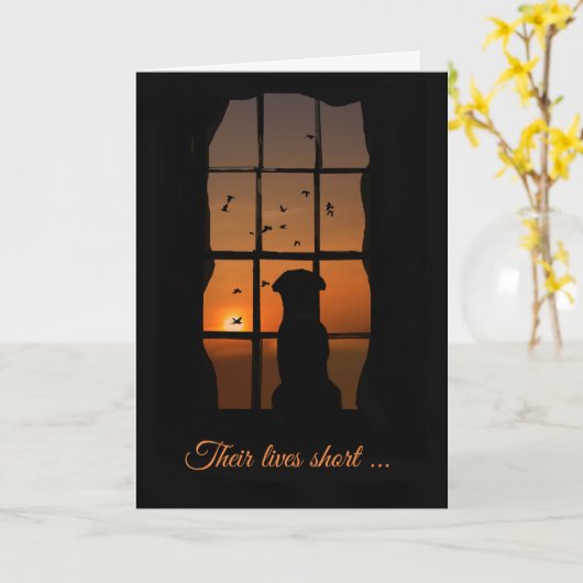 Dog Sympathie, verlies van een Dog Memorial Sympat Kaart (Gele Bloem)