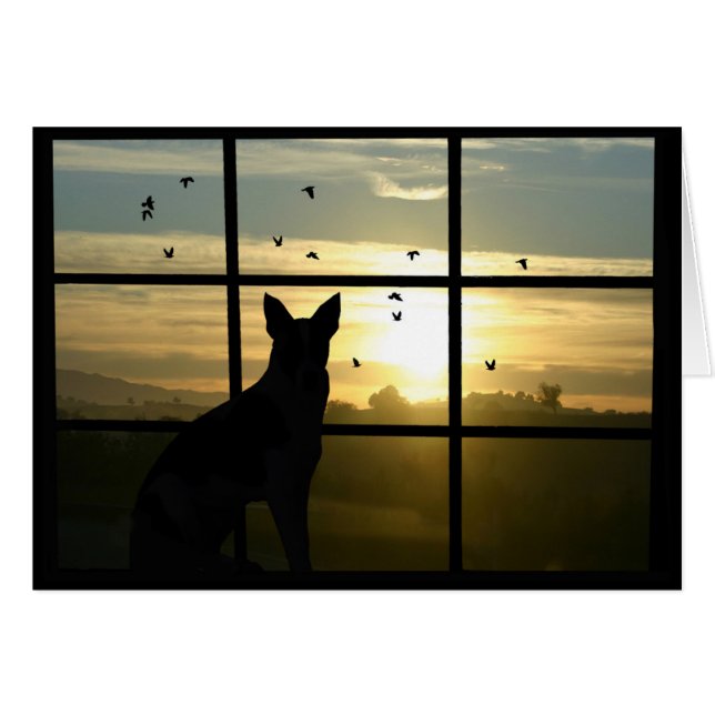 Dog Sympathie, verlies van Kaart (Voorkant Horizontaal)