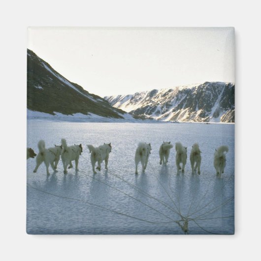 Dog team, Groenland Magneet (Voorkant)