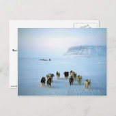 Dog teams, Devon Island, Northwest Territories Briefkaart (Voorkant / Achterkant)