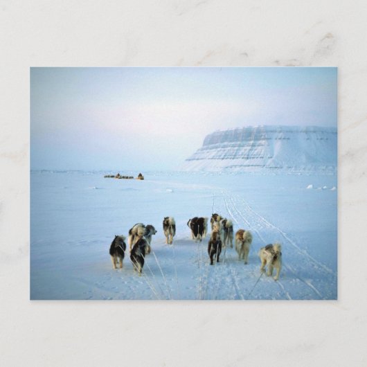 Dog teams, Devon Island, Northwest Territories Briefkaart (Voorkant)
