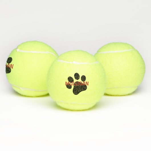 Dog Tennis Ball Tennisballen (Multi)