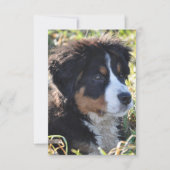 Dog Theme Bedankt voor je creditcard - Flatte beda (Voorkant)