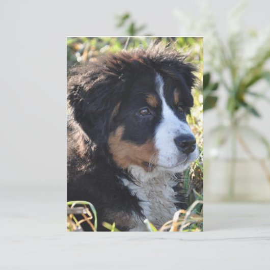 Dog Theme Bedankt voor je creditcard - Flatte beda (Staand voorkant)