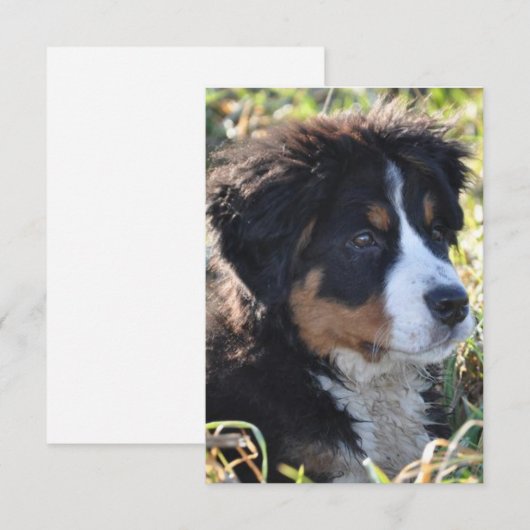 Dog Theme Bedankt voor je creditcard - Flatte beda (Voorkant / Achterkant)