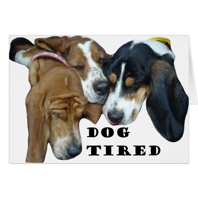 Dog Tired (Voorkant Horizontaal)