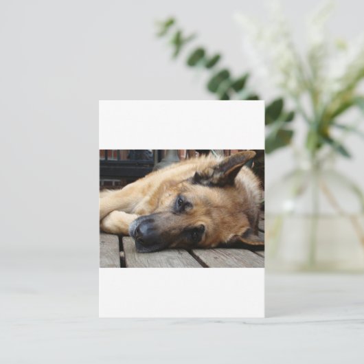 Dog Tired Briefkaart (Staand voorkant)