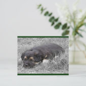 Dog Tired Briefkaarten (Staand voorkant)