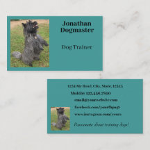 Dog Trainer Aqua Blue Blauwgroen Photo Minimal
