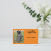 Dog Trainer Foto Oranje Citrus Background Minimum Visitekaartje (Staand voorkant)