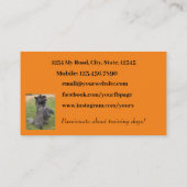Dog Trainer Foto Oranje Citrus Background Minimum Visitekaartje (Achterkant)