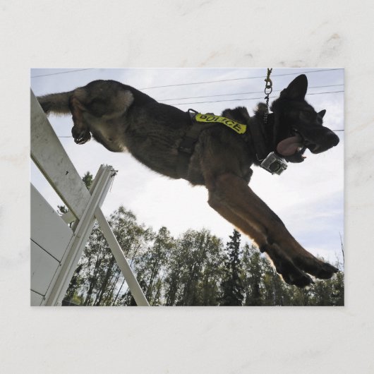 Dog-training van de politie van Shepherd Briefkaart (Voorkant)