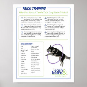 Dog Trick Training Poster