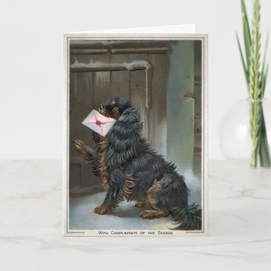  Dog  Vakantiekaart Feestdagen Kaart (Voorkant)