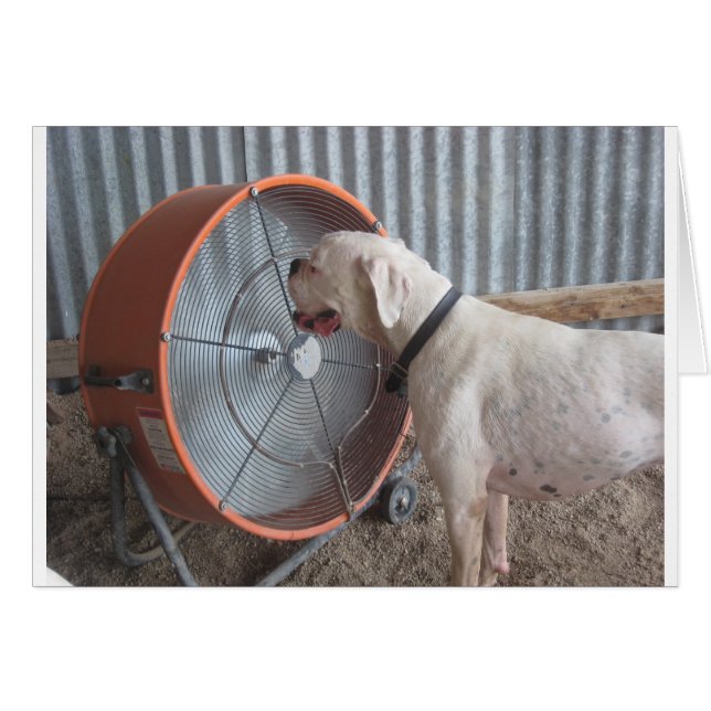 Dog - Van de bries houden (Voorkant Horizontaal)