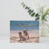 Dog van Sandy Beach Briefkaart (Staand voorkant)