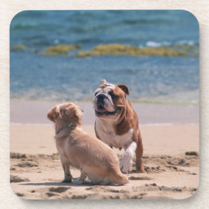 Dog van Sandy Beach Drankjes Onderzetter