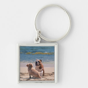 Dog van Sandy Beach Sleutelhanger