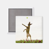 Dog vangt tennisbal in de lucht magneet (Voorkant / Achterkant)