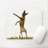 Dog vangt tennisbal in de lucht muismat (Met muis)