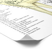 Dog Veterinary Muscle Anatomy Poster 24" X 36" (Hoek)