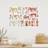 Dog Veterinary Muscle Anatomy Poster 24" X 36" (Keuken)