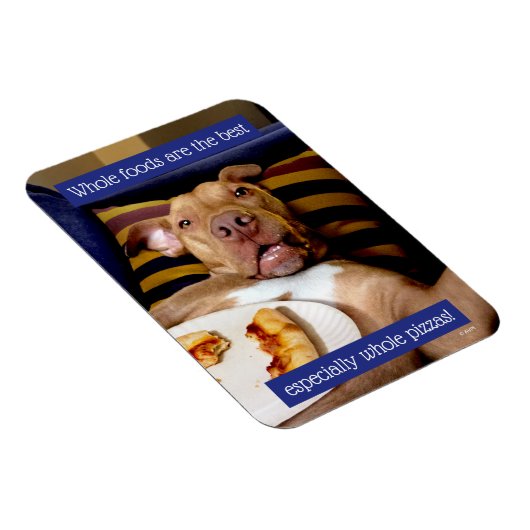 Dog vol met Pizza Magneet (Rechterzijde)