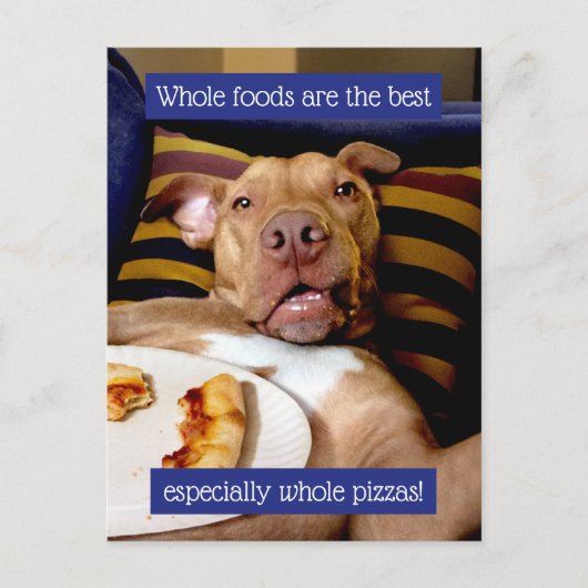 Dog vol met Pizza Uitnodiging Briefkaart (Voorkant)