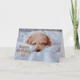 DOG VOOR DE BIRTHDAY KAART VAN MIJN ZISTER