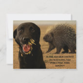 Dog vs. Porcupine Card Notitiekaartje (Voorkant)