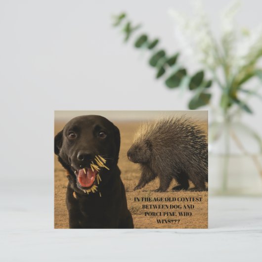 Dog vs. Porcupine Card Notitiekaartje (Staand voorkant)