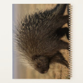 Dog vs. Porcupine Notebook Planner (Achterkant)