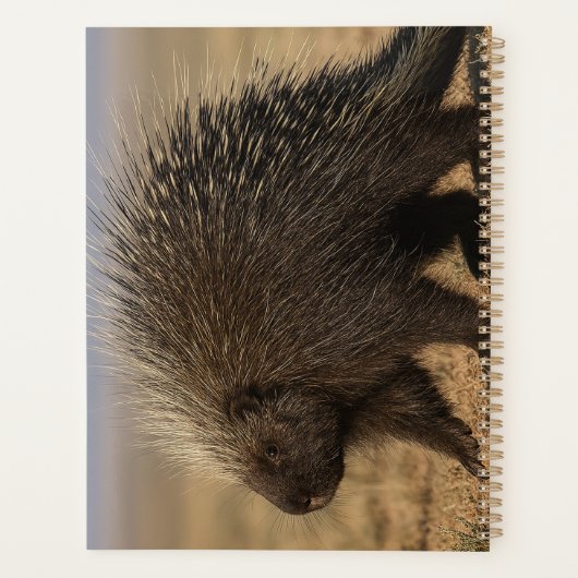 Dog vs. Porcupine Notebook Planner (Achterkant)