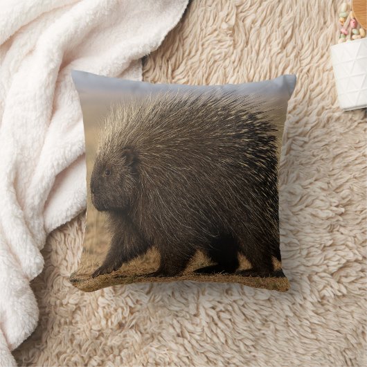 Dog vs. Porcupine throw pillow Kussen (Deken)