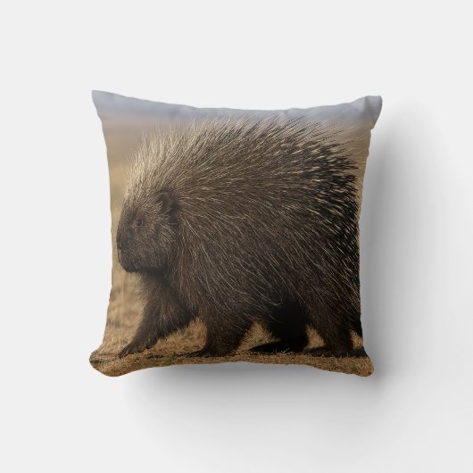 Dog vs. Porcupine throw pillow Kussen (Voorkant)