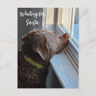 Dog Waiting for Santa Feestdagenkaart