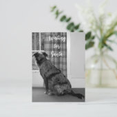 Dog Waiting for Santa Kerstmis Feestdagenkaart (Staand voorkant)