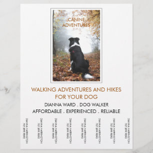 Dog Walker Adventure loopt en wieken Flyer