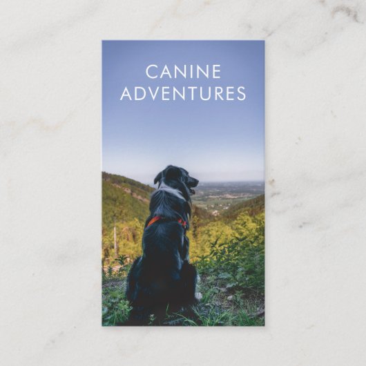 Dog Walker Adventure loopt en wieken Visitekaartje (Voorkant)