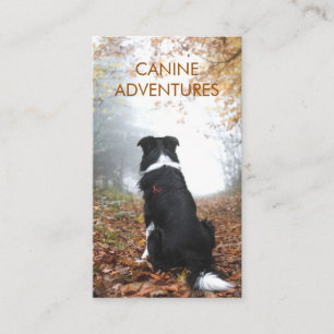 Dog Walker Adventure loopt en wieken Visitekaartje