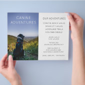 Dog Walker Adventure Walks Hikes Flyer (Hand)