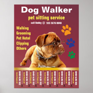 Dog Walker Betrouwbare Dienst Ziekenhuiszorg Poster