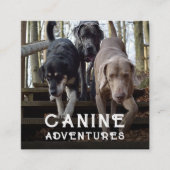 Dog Walker en Dog Adventures Square Visitekaartje (Voorkant)
