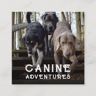 Dog Walker en Dog Adventures Square Visitekaartje