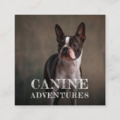 Dog Walker en Dog Adventures Square Visitekaartje (Voorkant)